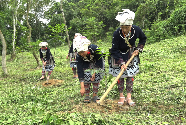 Kỳ bí Lễ mở đất của người Dao Tiền ở Bắc Kạn - Ảnh 1.