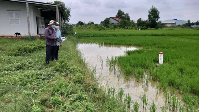 Long An: Chuẩn bị thởi điểm, vị trí khởi công dự án đường vành đai 3 TP.HCM - Ảnh 1.