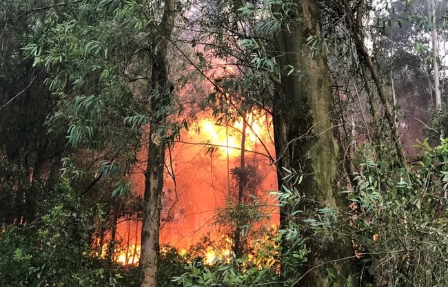Hàng chục ha rừng thông chìm trong biển lửa, hàng trăm người lao lên rừng chữa cháy - Ảnh 4.