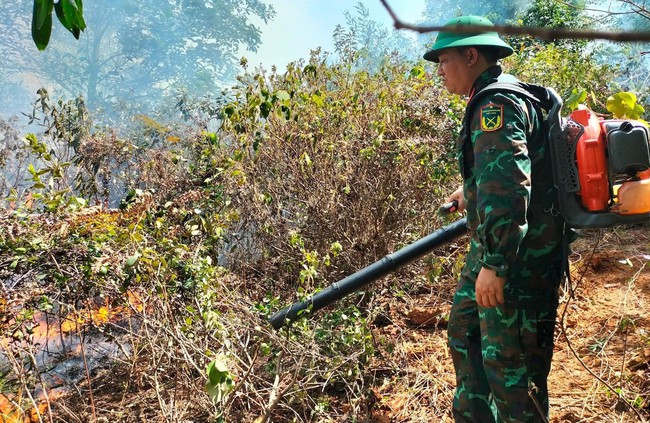 Nghệ An: Hàng nghìn người hợp sức khống chế đám cháy rừng trong đêm - Ảnh 2.
