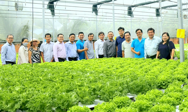 Hội Nông dân TP.HCM đưa nông dân tham quan học tập mô hình trồng rau công nghệ cao ở HTX Tuấn Ngọc (TP.Thủ Đức). Ảnh: Trần Khánh