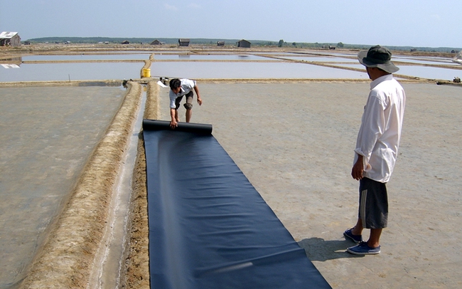 Chi cục Phát triển nông thôn TP.HCM hướng dẫn nông dân huyện Cần Giờ làm muối trên nền trải bạt. Ảnh: CCPTNT