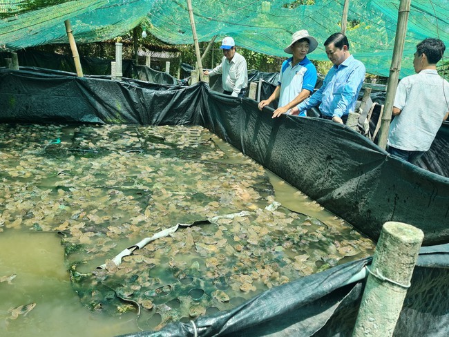 Đồng hành cùng hội viên khởi nghiệp, phát triển kinh tế - Ảnh 1.