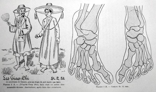 Giải mã bất ngờ về “bàn chân Giao Chỉ” của người Việt cổ - Ảnh 1.