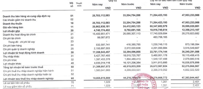 Cao su Thống Nhất (TNC) hoàn thành 80% kế hoạch lãi sau 6 tháng đầu năm - Ảnh 1.