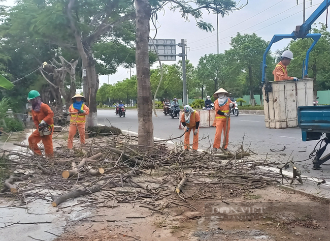 Hải Phòng: Sẵn sàng huy động nhân lực, phương tiện, vật tư phòng chống bão số 1 - Ảnh 6.
