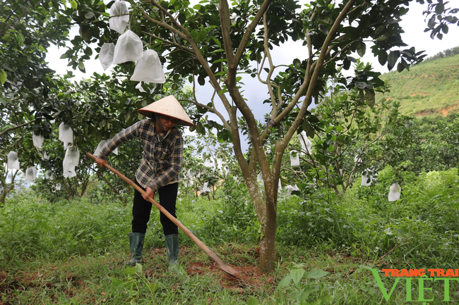 Yên Phú nỗ lực xây dựng nông thôn mới nâng cao - Ảnh 3.