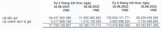Tiếp đà tăng trưởng, Dược Hậu Giang (DHG) báo lãi tăng 12% trong quý II - Ảnh 2.