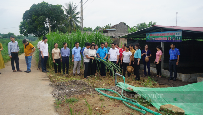 Chăn nuôi tuần hoàn thu đa lợi ích  - Ảnh 3.