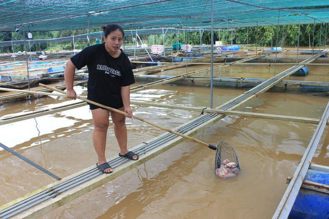 Mưa lớn khiến nước sông Đồng Nai dâng cao, người nuôi cá bè ở Định Quán bị thiệt hại hơn 20 tỷ đồng - Ảnh 1.