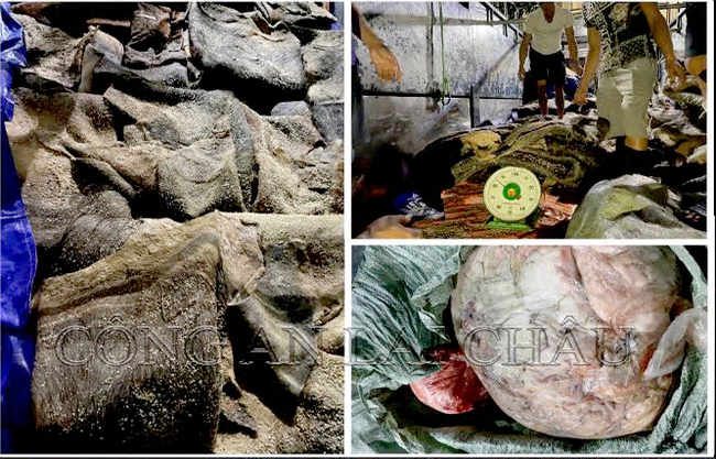 Lai Châu: Bắt giữ, tiêu hủy hơn 3 tấn thực phẩm động vật bốc mùi hôi thối - Ảnh 1.