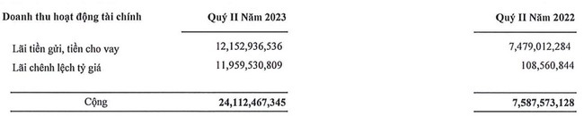 Quý II/2023, Xuất nhập khẩu Việt Phát (VPG) báo lãi còn vỏn vẹn 25,5 tỷ đồng - Ảnh 2.
