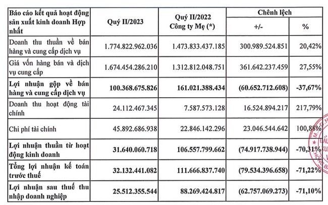 Quý II/2023, Xuất nhập khẩu Việt Phát (VPG) báo lãi còn vỏn vẹn 25,5 tỷ đồng - Ảnh 1.