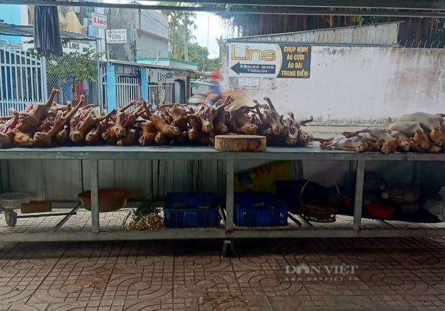 Hà Nội có thể sẽ là thành phố nói không với thịt chó, mèo đầu tiên trên cả nước - Ảnh 2.