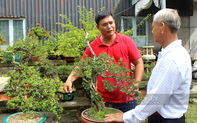 Anh Bùi Anh Tin (trái) sản xuất và kinh doanh cây kiểng xã Đa Phước, huyện Bình Chánh. Ảnh: Trần Khánh