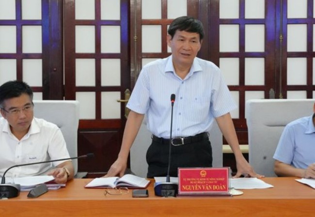 Thừa Thiên Huế đề nghị Trung ương hỗ trợ các dự án xử lý khẩn cấp sạt lở bờ biển  - Ảnh 2.