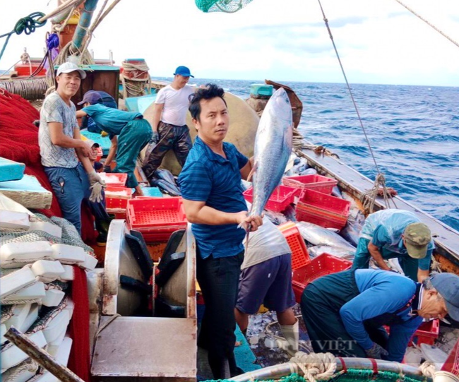 Ưu tiên và &quot;mạnh tay&quot; xử lý tàu cá vi phạm vùng biển nước ngoài - Ảnh 1.