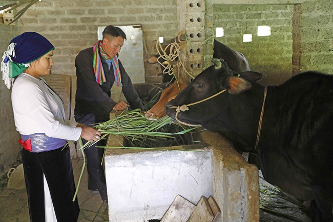 Giúp hội viên thoát nghèo và đẩy lùi “tín dụng đen” - Ảnh 1.