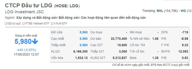 Cổ phiếu LDG giảm kịch sàn sau pha &quot;bán chui&quot; của Chủ tịch Nguyễn Khánh Hưng  - Ảnh 1.