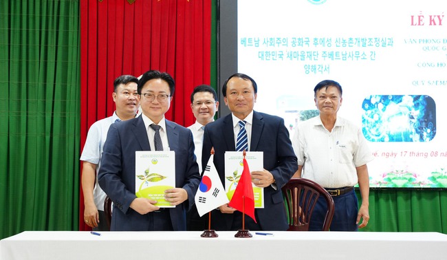 Thừa Thiên Huế hợp tác với Quỹ Saemaul Hàn Quốc thúc đẩy phong trào xây dựng nông thôn mới - Ảnh 1.