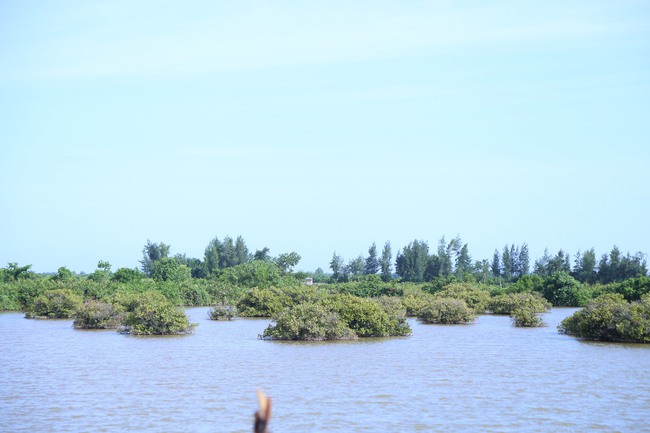 Unesco đề nghị cung cấp thông tin vụ thu hẹp Khu bảo tồn thiên nhiên Tiền Hải - Ảnh 2.