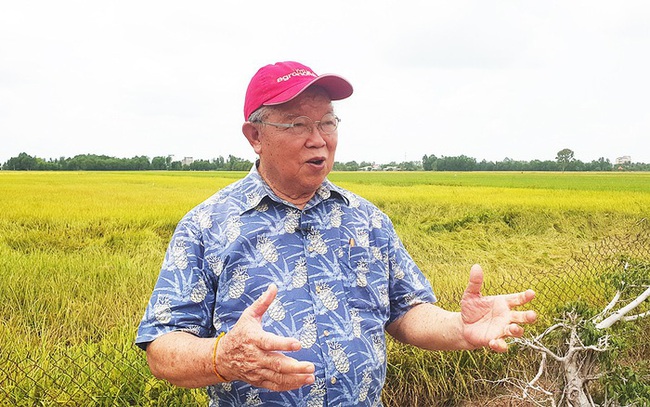 Giá gạo tăng từng ngày, doanh nghiệp xuất khẩu gạo Việt Nam đang ở thế &quot;thượng phong&quot; - Ảnh 1.