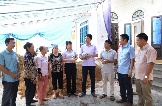 Ninh Bình: Hội viên nông dân được hỗ trợ giống và nguyên vật liệu sản xuất nấm sò - Ảnh 1.