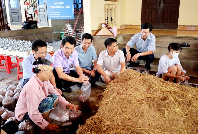 Ninh Bình: Hội viên nông dân được hỗ trợ giống và nguyên vật liệu sản xuất nấm sò - Ảnh 2.