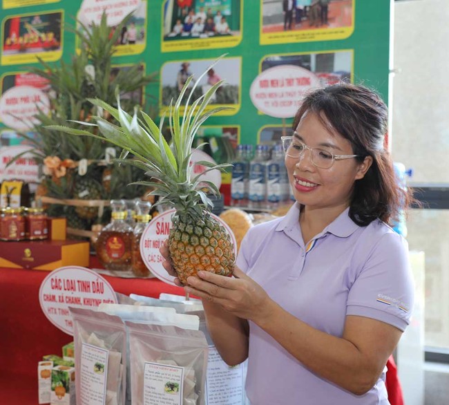 Hỗ trợ nông dân Bắc Giang phát triển sản phẩm OCOP, nâng cao thu nhập - Ảnh 1.