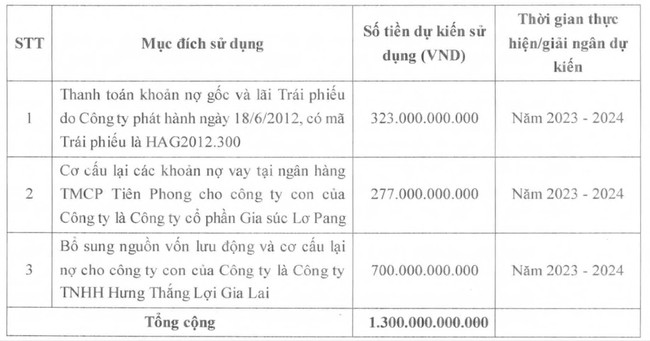 Hoàng Anh Gia Lai (HAG) sắp phát hành 1.300 tỷ đồng cổ phiếu riêng lẻ, phần lớn để trả nợ - Ảnh 1.