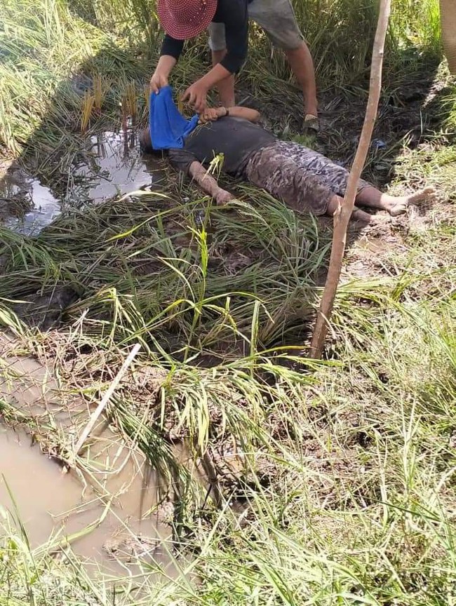 Đàn ông trung niên nghi do dính điện bẫy chuột, nằm chết dưới đám ruộng nước ở Long An - Ảnh 1.