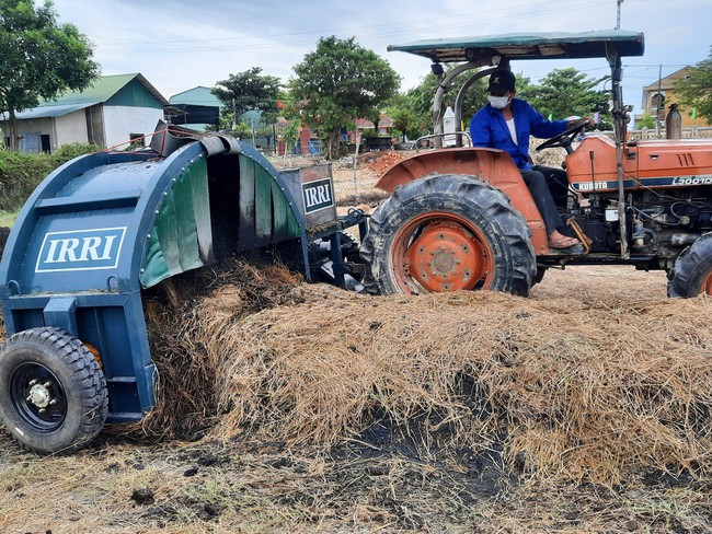 Thay vì đốt hoặc cày vùi rơm rạ gây phát thải khí nhà kính, cách làm này giúp nông dân lợi nhiều bề - Ảnh 1.