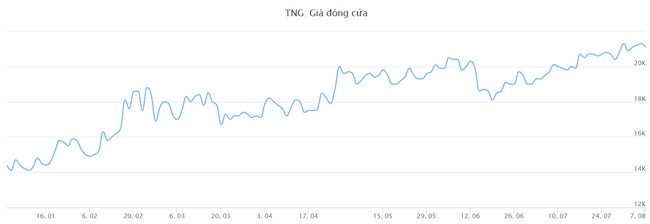 Doanh thu tháng 7 của Đầu tư Thương mại TNG cao nhất kể từ đầu năm tới nay - Ảnh 3.