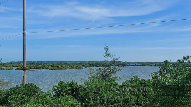 Tỉnh Thái Bình lên tiếng vụ thu hẹp Khu bảo tồn thiên nhiên Tiền Hải - Ảnh 3.