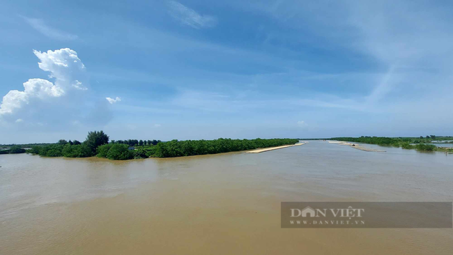 Tỉnh Thái Bình lên tiếng vụ thu hẹp Khu bảo tồn thiên nhiên Tiền Hải - Ảnh 2.