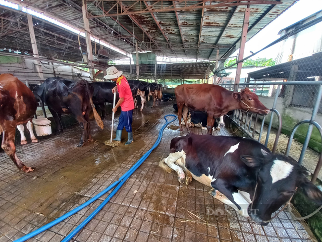 TP.HCM: Kiểm soát ô nhiễm môi trường tại các làng nghề - Ảnh 1.