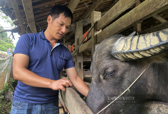 Nông dân Việt Nam xuất sắc đến từ tỉnh Cao Băng: Tôi thấy mình cần nỗ lực nhiều hơn nữa - Ảnh 4.