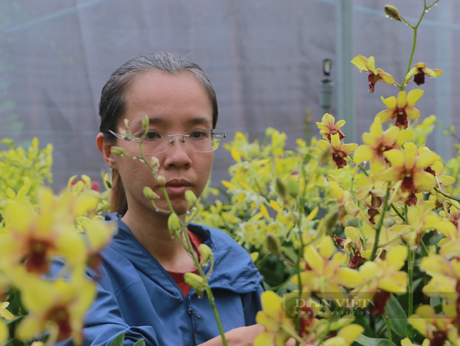 Nông dân Việt Nam xuất sắc 2023 tại TP.HCM là cô gái có niềm đam mê mãnh liệt với hoa lan - Ảnh 4.