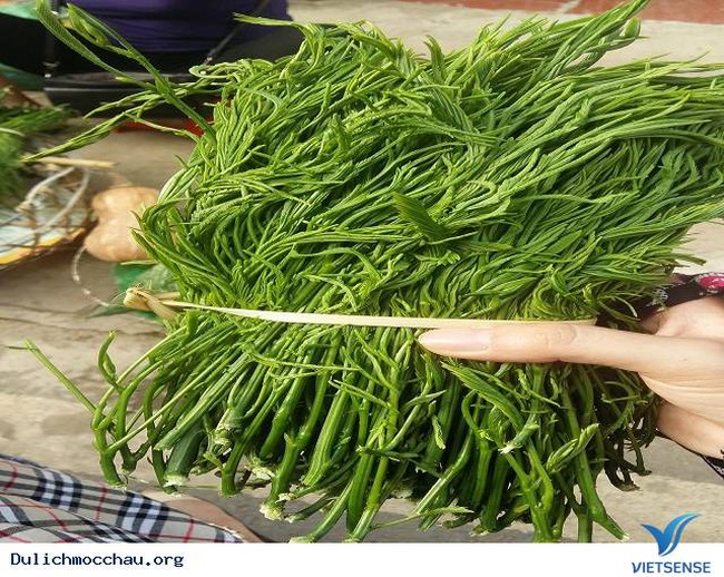 Ở nơi này của Sơn La có một loại rau rừng nấu lên cả xóm ngửi mùi khó ưa, ăn lại ngon hơn cá thịt - Ảnh 2.