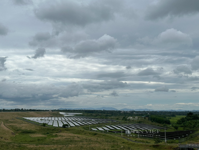 Loạt trang trại &quot;núp bóng&quot; nuôi trồng để sản xuất điện mặt trời  - Ảnh 1.