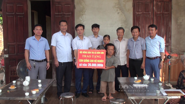Hội Nông dân tỉnh Thanh Hóa sẵn sàng cho Đại hội nhiệm kỳ mới - Ảnh 3.