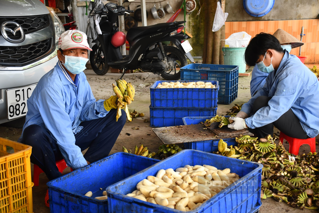 Vụ “3.000 con khỉ nuôi tại TP.HCM không thể xuất ngoại”: Lãnh đạo huyện Củ Chi tìm hiểu khó khăn của doanh nghiệp - Ảnh 4.