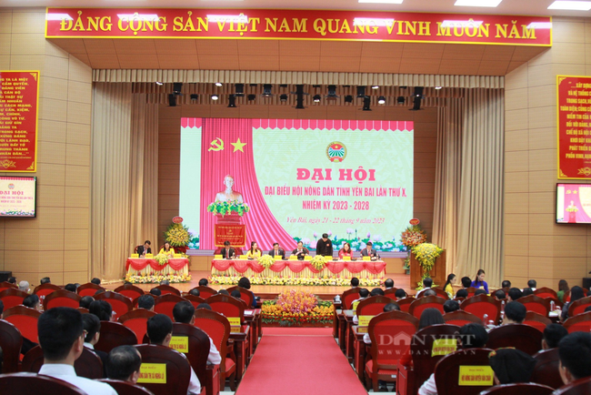 Phó Chủ tịch Hội NDVN Bùi Thị Thơm: Hội Nông dân tỉnh Yên Bái vận động hội viên phát huy bản sắc dân tộc - Ảnh 1.