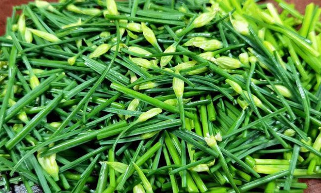 Thứ này có giá 90.000đ/kg, người Trung Quốc gọi là “rau trường thọ”, ăn rất ngon lại có thể làm thuốc - Ảnh 3.