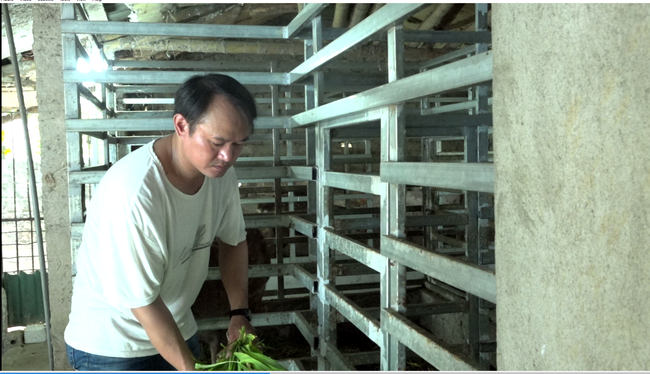 Con vật ví như &quot;con đại bổ&quot;, chỉ ăn cỏ ăn lá mà &quot;trả&quot; tiền cục cho nông dân một nơi ở Thanh Hóa - Ảnh 1.