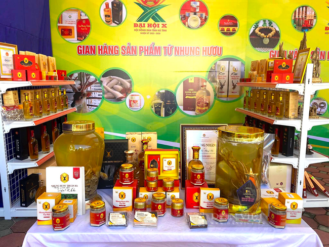 Nông dân Việt Nam xuất sắc phát biểu chia sẻ kinh nghiệm phát triển doanh nghiệp doanh thu 30 tỷ đồng mỗi năm - Ảnh 3.