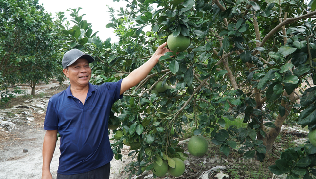 Nông dân Việt Nam xuất sắc ở Thừa Thiên Huế thu tiên tỷ mỗi tháng từ trang trại trên vùng cát  - Ảnh 3.