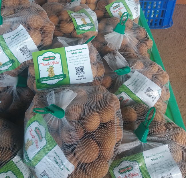 Nông dân Củ Chi trồng loại nhãn “xịn”, có lúc giá hơn 100.000 đồng/kg - Ảnh 5.
