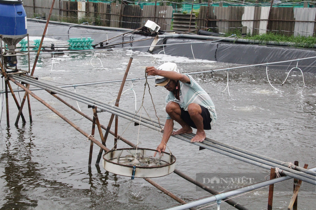 Nuôi tôm công nghệ cao lãi tiền tỷ mỗi năm, nông dân Trà Vinh trở thành nông dân Việt Nam xuất sắc  - Ảnh 2.