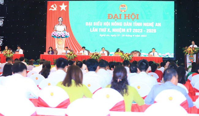 303 đại biểu chính thức tham dự Đại hội đại biểu Hội Nông dân tỉnh Nghệ An lần thứ X - Ảnh 6.